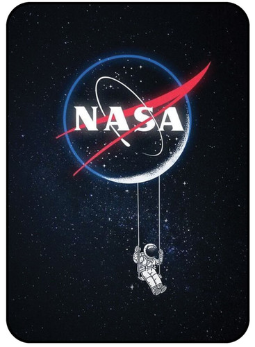 Nasa & Astronaut.jpg