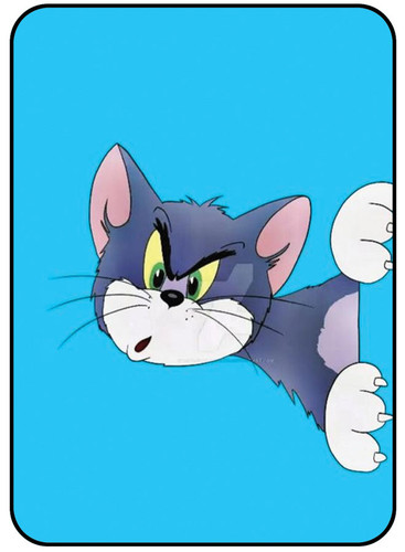 Tom.jpg