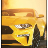 Yellow Mustang