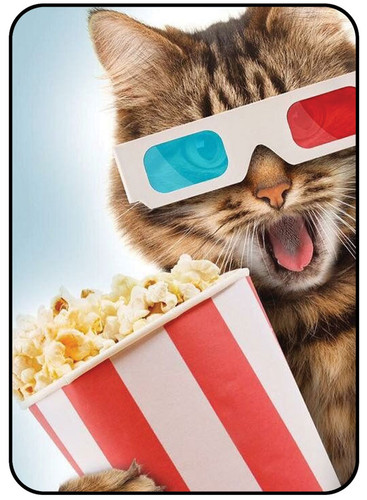 Cat with Popcorn.jpg