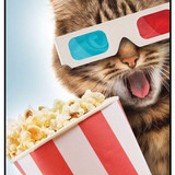 Cat with Popcorn