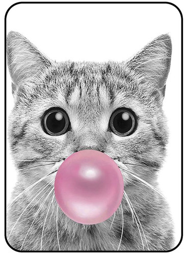 Cat 3.jpg