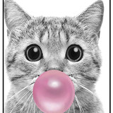 Cat 3