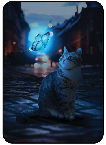 Cat with Butterfly 1.jpg