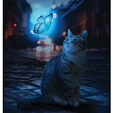 Cat with Butterfly 1
