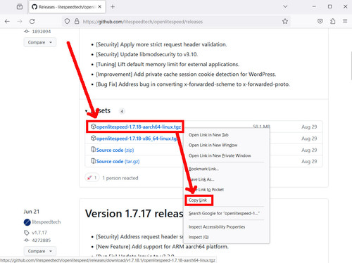 openlitespeed github arm copy link.jpg