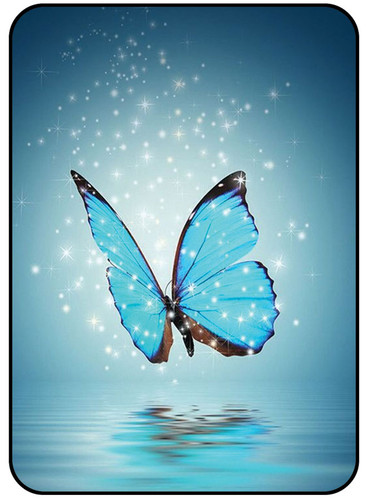Blue Butterfly.jpg