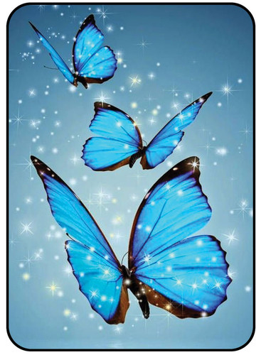 Blue Butterfly 1.jpg