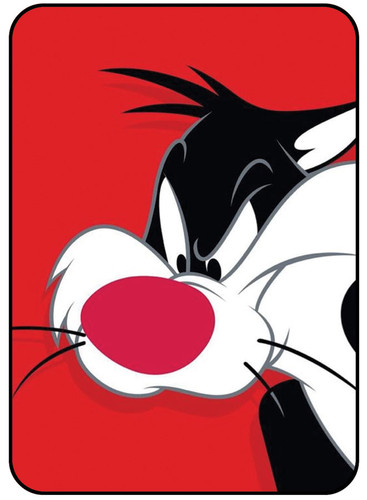 Black Cat.jpg
