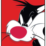 Black Cat