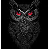 Owl 2