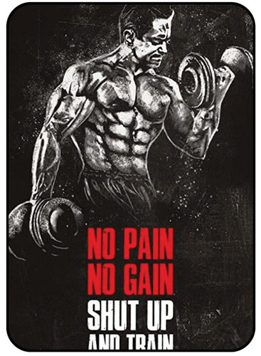 No Pain No Gain Shut Up And Train.jpg