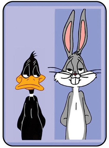 Rabbit & Cat