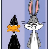 Rabbit &amp; Cat