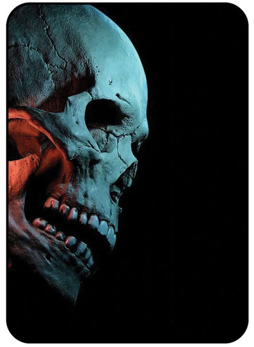 Skull 5