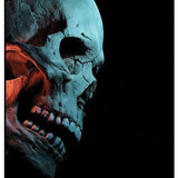 Skull 5