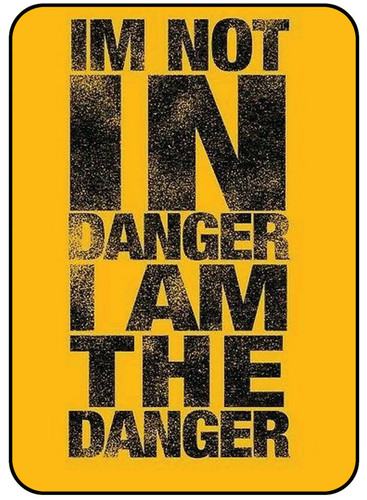IM NOT IN DANGER I AM THE DANGER.jpg