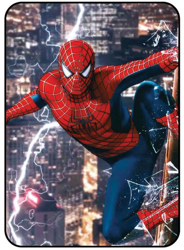 Spiderman 13.jpg