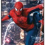 Spiderman 13