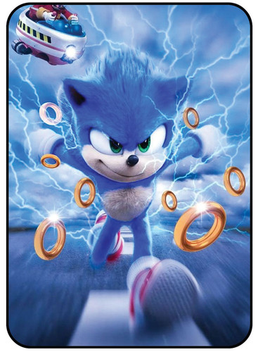 Sonic 2.jpg