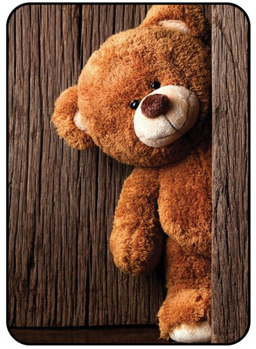 Teddy Bear 2.jpg
