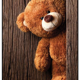 Teddy Bear 2