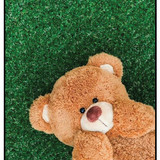 Teddy Bear 3