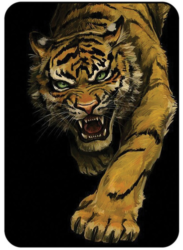 Tiger.jpg