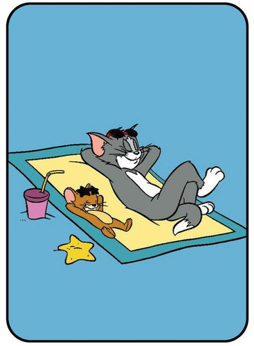 Tom & Jerry 3.jpg