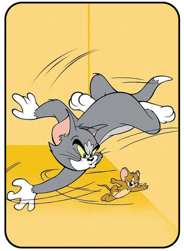 Tom & Jerry 2.jpg