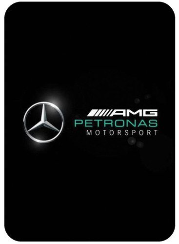 AmG Petrinas Motorsport.jpg