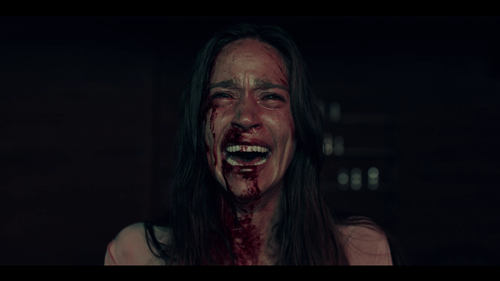 A.Classic.Horror.Story.2021.720p.NF.WEB DL.DDP5.1.H.264 TEPES.mkv.1:11:24.optimized=high.png