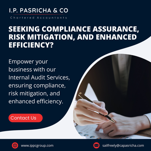 IPP February SMM post (28).png