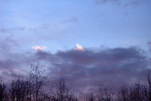IMG 1946.jpg