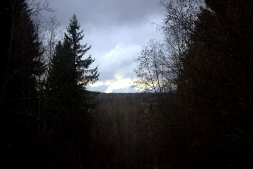 IMG 1909 b1.jpg