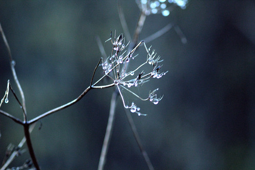 IMG 1900.jpg