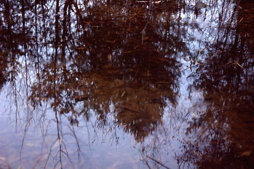 IMG 1891 b.jpg
