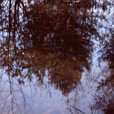 IMG 1891 b