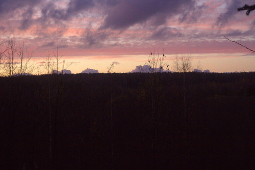IMG 1958 a.jpg