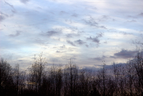 IMG 1939.jpg