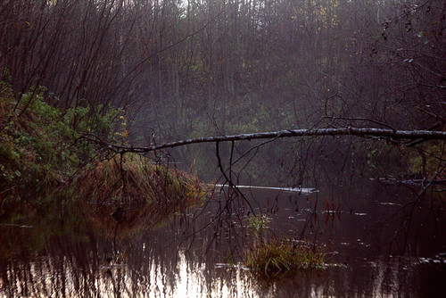 IMG 1934 b.jpg