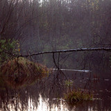 IMG 1934 b