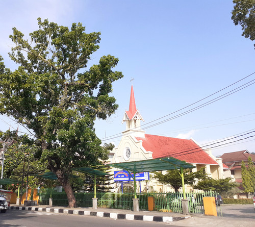 IMG 0553.jpg
