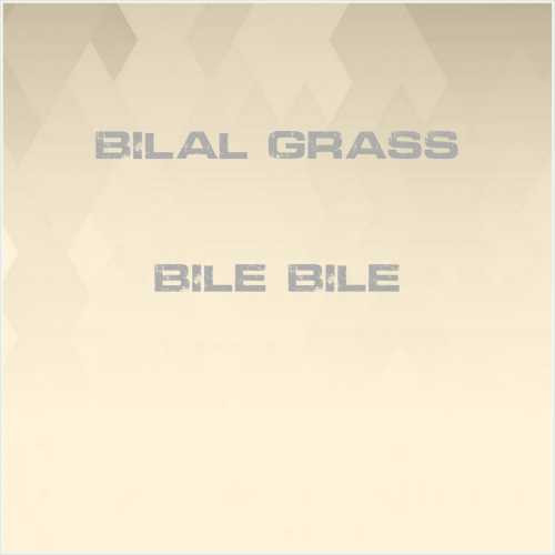 دانلود آهنگ جدید Bilal Grass به نام Bile Bile