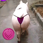 J0W58P.gif
