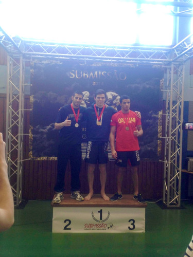 submissao2014.1