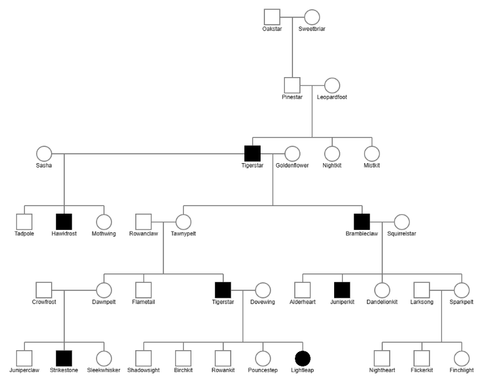 tigerclaw pedigree tigerclone.2