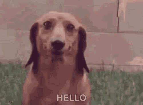 hug hugs.gif