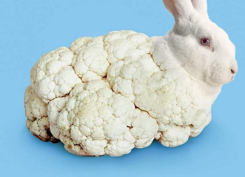 IMG 20240201 WA0012.jpg