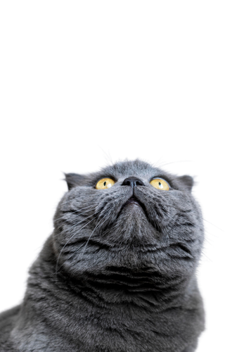8619106.png